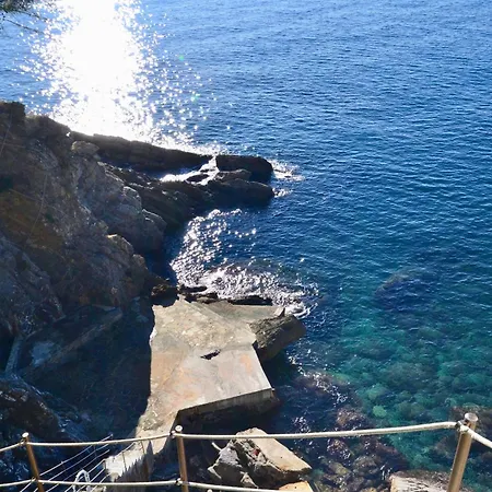 公寓 Tigullio Dreams - Con Accesso Privato Al Mare E Box Auto 佐阿利
