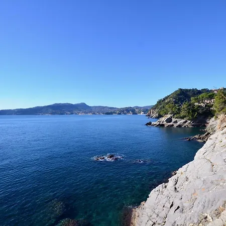 Tigullio Dreams - Con Accesso Privato Al Mare E Box Auto 公寓 佐阿利